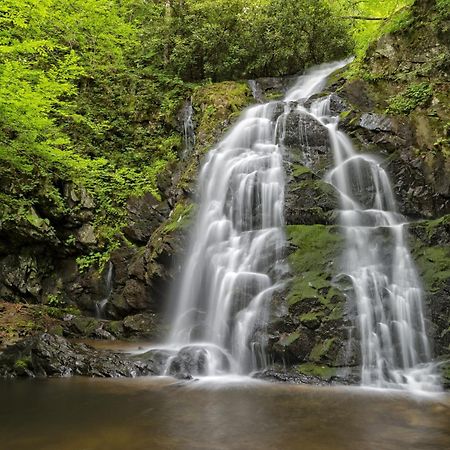 Hidden Memories, Hot Tub, 1089 Of Free Attraction Tickets For Each Paid Day, Dollywood And More Gatlinburg Exterior foto