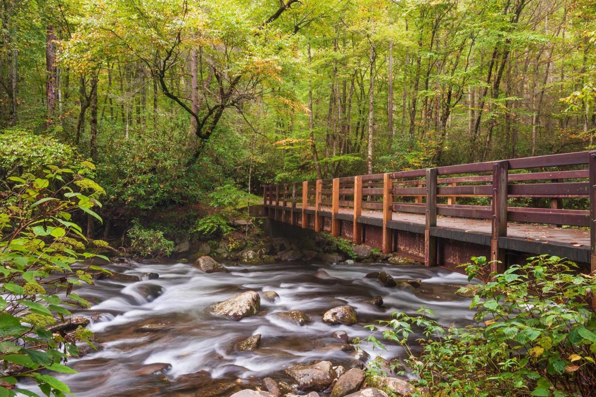 Hidden Memories, Hot Tub, 1089 Of Free Attraction Tickets For Each Paid Day, Dollywood And More Gatlinburg Exterior foto